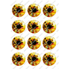 Load image into Gallery viewer, 24pcs/lot Round Glass Cabochon 10mm 12mm 14mm 16mm 18mm 20mm 25mm Demo Flat Back for Hand Made Diy Jewelry Findings T099